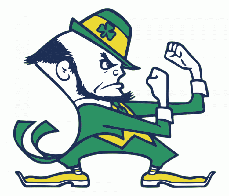 Notre Dame Fighting Irish 1984-Pres Alternate Logo diy iron on heat transfer